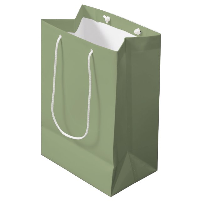 Sage Green Plain Solid Color  Medium Gift Bag (Front Angled)