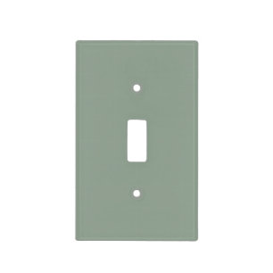 Sage Green Soft Pastel Solid Color Light Switch Cover