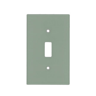 Sage Green Soft Pastel Solid Color Light Switch Cover