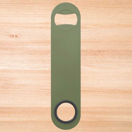 Sage Green Solid Color Bar Key