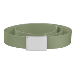 Sage Green Solid Color Belt