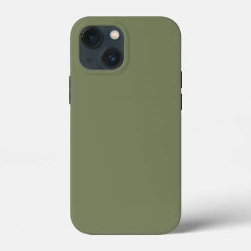 Sage Green Solid Color iPhone 13 Mini Case