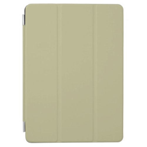 Sage Green Solid Color  Classic  Elegant iPad Air Cover