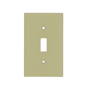 Sage Green Solid Color Classic Elegant Light Switch Cover