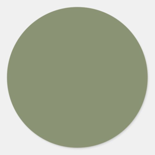 Sage Green Solid Color Classic Round Sticker