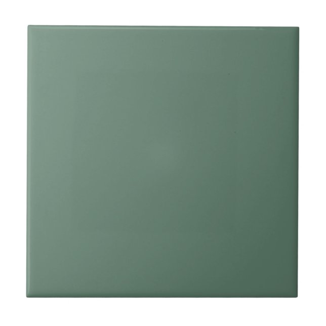 Sage Green Solid Color Elegant Modern Ceramic Tile (Front)