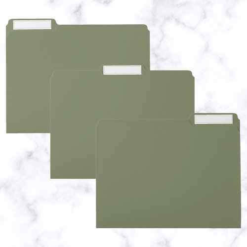 Sage Green Solid Color File Folder