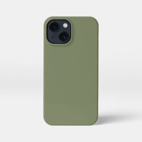 Sage Green Solid Color iPhone 13 Mini Case
