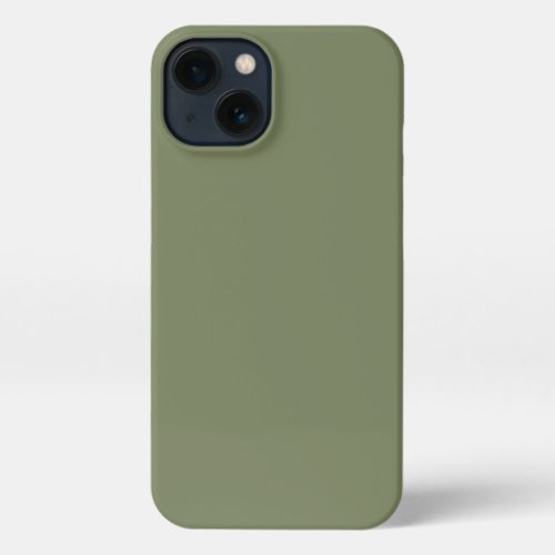 Sage Green Solid Color iPhone 13 Case