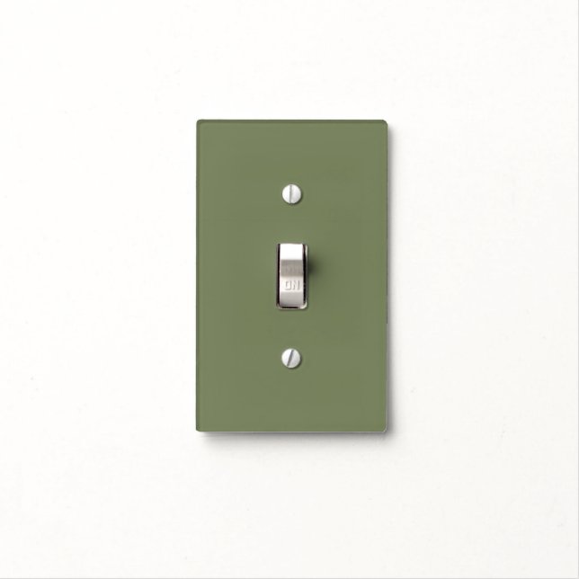 Sage Green Solid Color Light Switch Cover (In Situ)