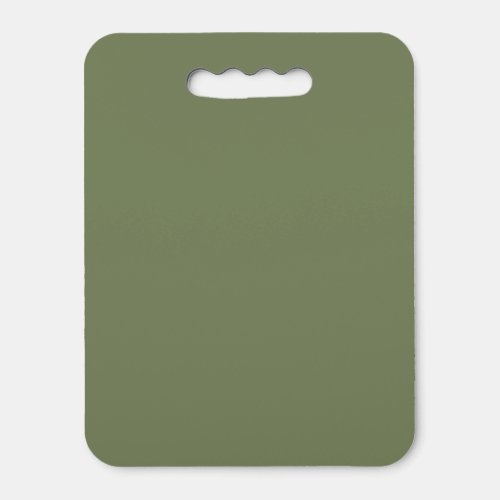 Sage Green Solid Color Seat Cushion