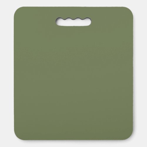 Sage Green Solid Color Seat Cushion