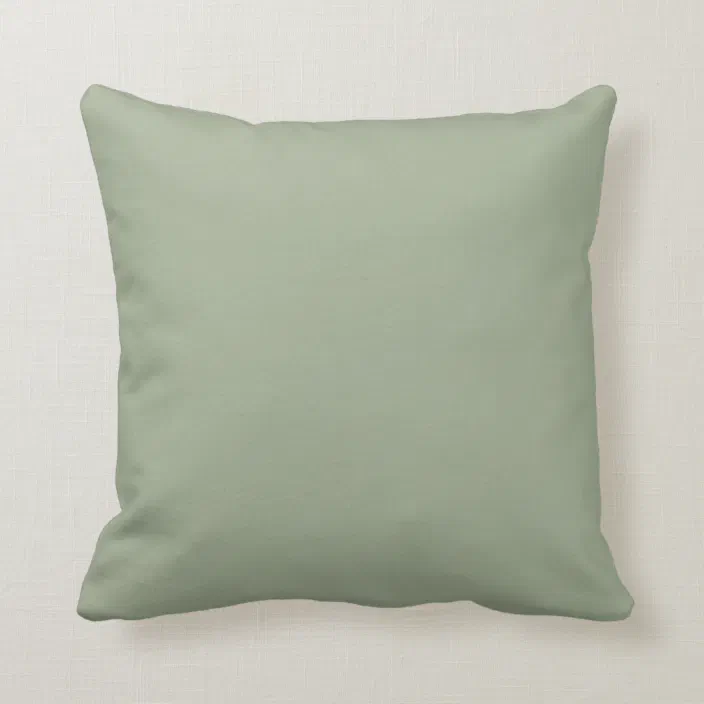 Sage Green Solid Color Throw Pillow, Sage Green Throw Pillows For Sofa