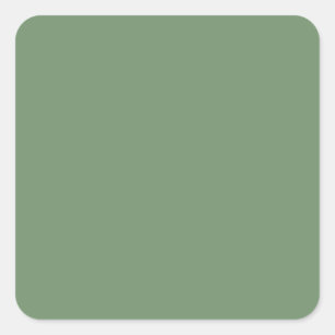 Sage Green Square Sticker
