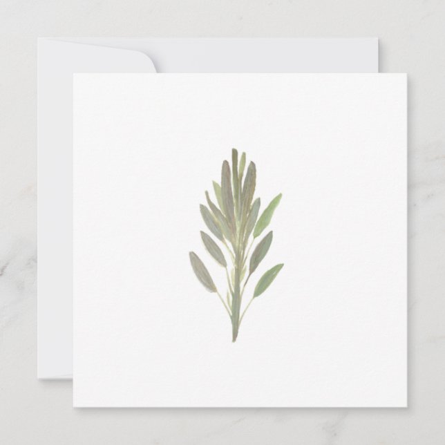 Sage herb botanical plant greenery card (Front)