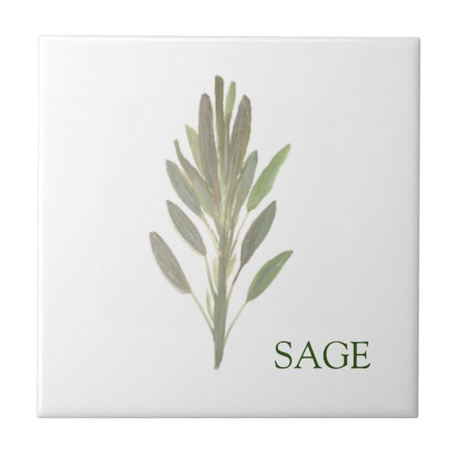 Sage Herb Greenery Kitchen Culinary Green Plant  Ceramic Tile (Front)