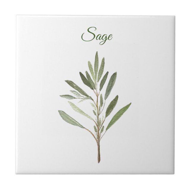 Sage Herb Greenery Kitchen Culinary Green Rustic C Ceramic Tile (Front)