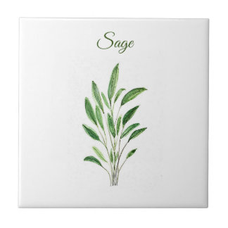Sage Herb Greenery Kitchen Culinary Green Rustic Ceramic Tile