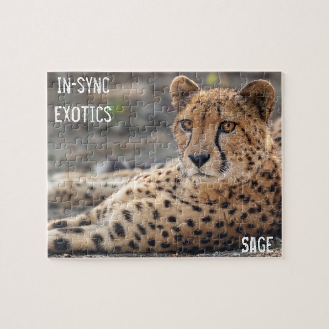 Sage - jigsaw puzzle (Horizontal)