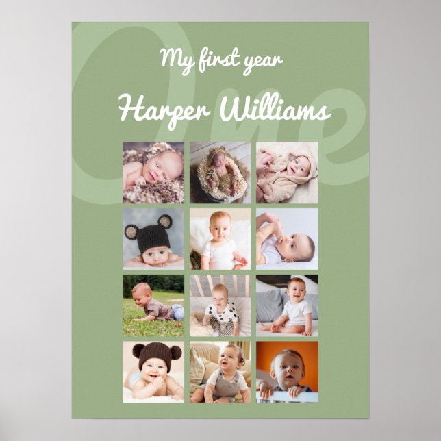 Sage Monthly Photo Baby 1st Birthday Poster (Front)