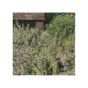 Sage Poppies Wood Wall Art