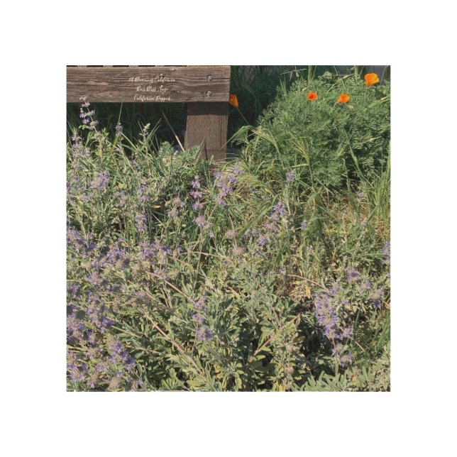 Sage Poppies Wood Wall Art (Front)