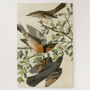 Sage Thrasher and Varied Thrush, Audubon's Birds Jigsaw Puzzle