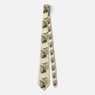 Sage Thrasher and Varied Thrush, Audubon's Birds Neck Tie