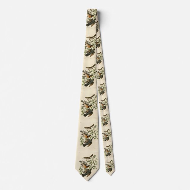 Sage Thrasher and Varied Thrush, Audubon's Birds Neck Tie (Front)