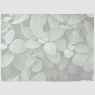 Sage Tissue Paper, Decoupage, Botanical Greenery Tissue Paper