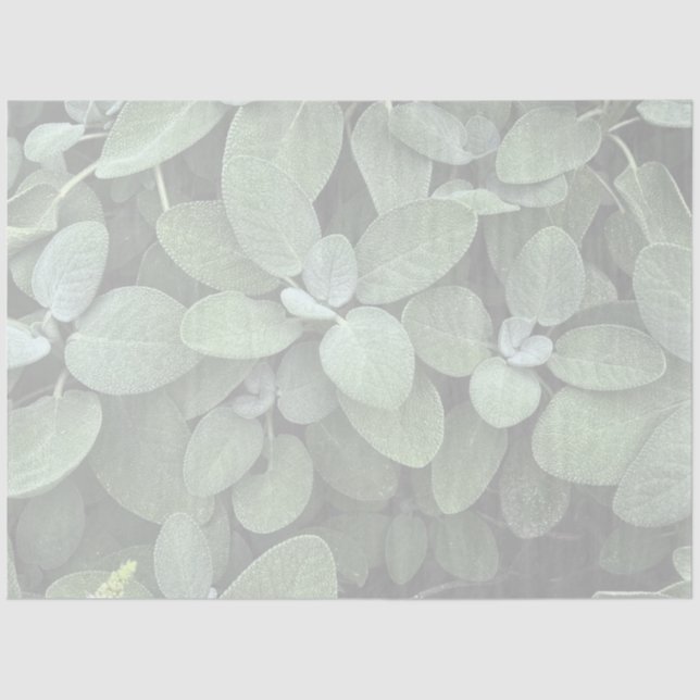 Sage Tissue Paper, Decoupage, Botanical Greenery Tissue Paper (Front)