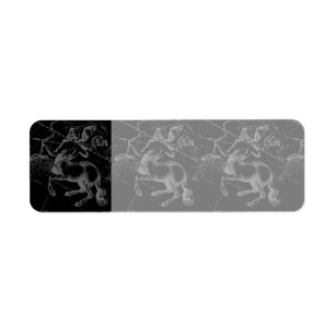 Sagittarius Constellation Hevelius circa 1690 Label