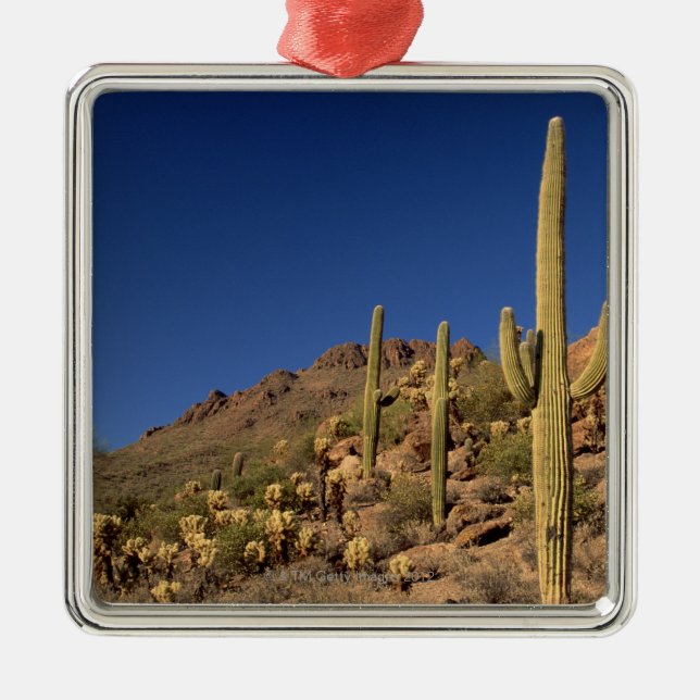 Saguaro cacti and Tucson Mountains, Tucson Metal Ornament (Front)