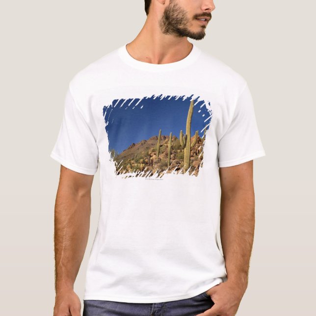 Saguaro cacti and Tucson Mountains, Tucson T-Shirt (Front)