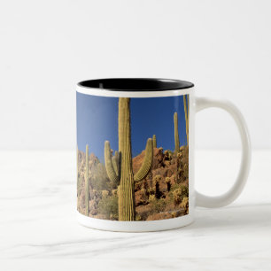 Saguaro cacti and Tucson Mountains, Tucson Two-Tone Coffee Mug