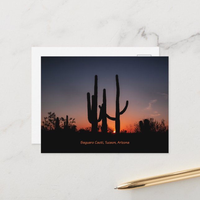 Saguaro Cacti at Sunset Postcard (Front/Back In Situ)