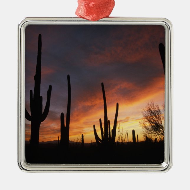 saguaro cacti, Carnegiea gigantea, after Metal Ornament (Front)