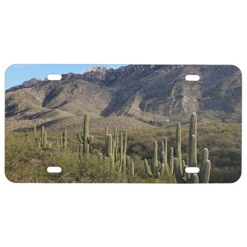 Saguaro Cactus and Catalina Mountains Tucson AZ License Plate