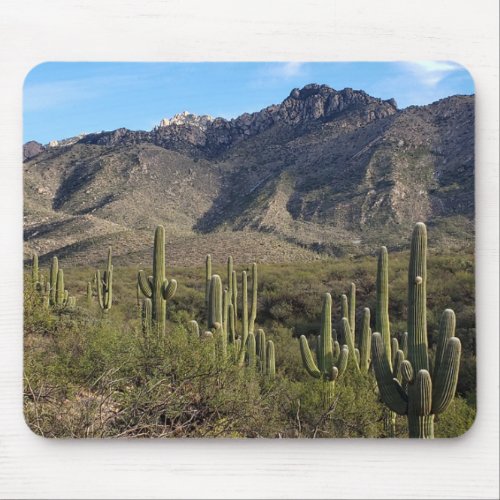 Saguaro Cactus and Catalina Mountains Tucson AZ Mouse Pad