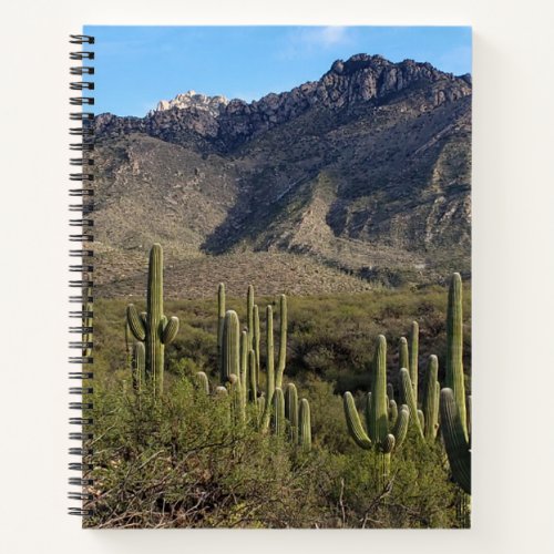 Saguaro Cactus and Catalina Mountains Tucson AZ Notebook