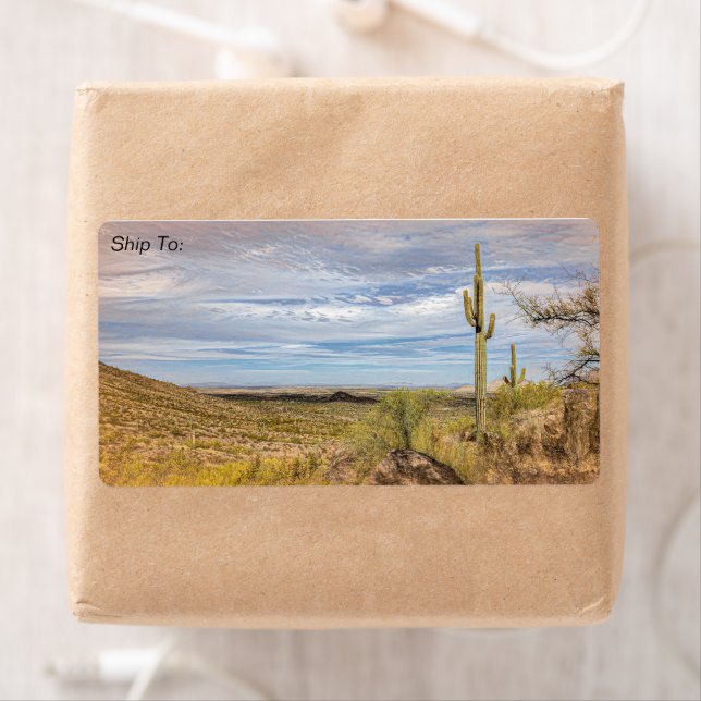 Saguaro Cactus Arizona Desert View Digital Art Label (Insitu)