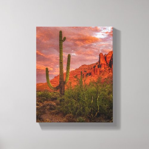 Saguaro Cactus Arizona Sunset Terracotta Red 11x14 Canvas Print