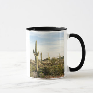 Saguaro Cactus, Arizona,USA Mug