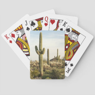 Saguaro Cactus, Arizona,USA Poker Cards