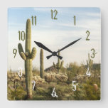 Saguaro Cactus, Arizona,usa Square Wall Clock at Zazzle