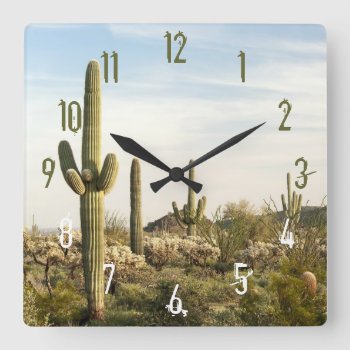 Saguaro Cactus  Arizona Usa Square Wall Clock by usdeserts at Zazzle