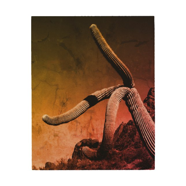 Saguaro Cactus Art Photograph in Rustic Style (Front)