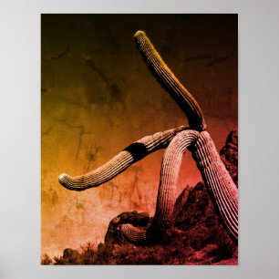 Saguaro Cactus Art Photograph in Rustic Style Poster