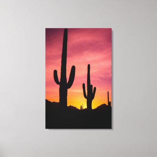 Saguaro cactus at sunrise Arizona Canvas Print