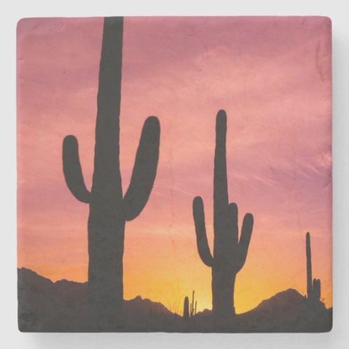 Saguaro cactus at sunrise Arizona Stone Coaster